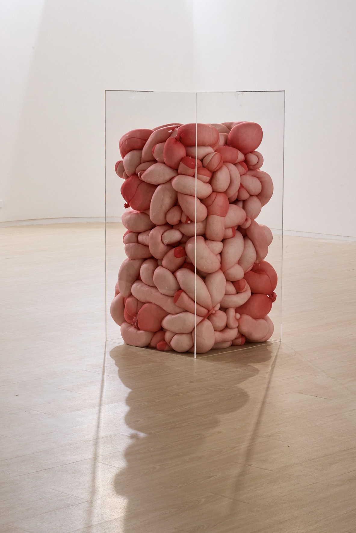 We are living in a room installation by oneg - mixed media exploring body exterior and interior duality